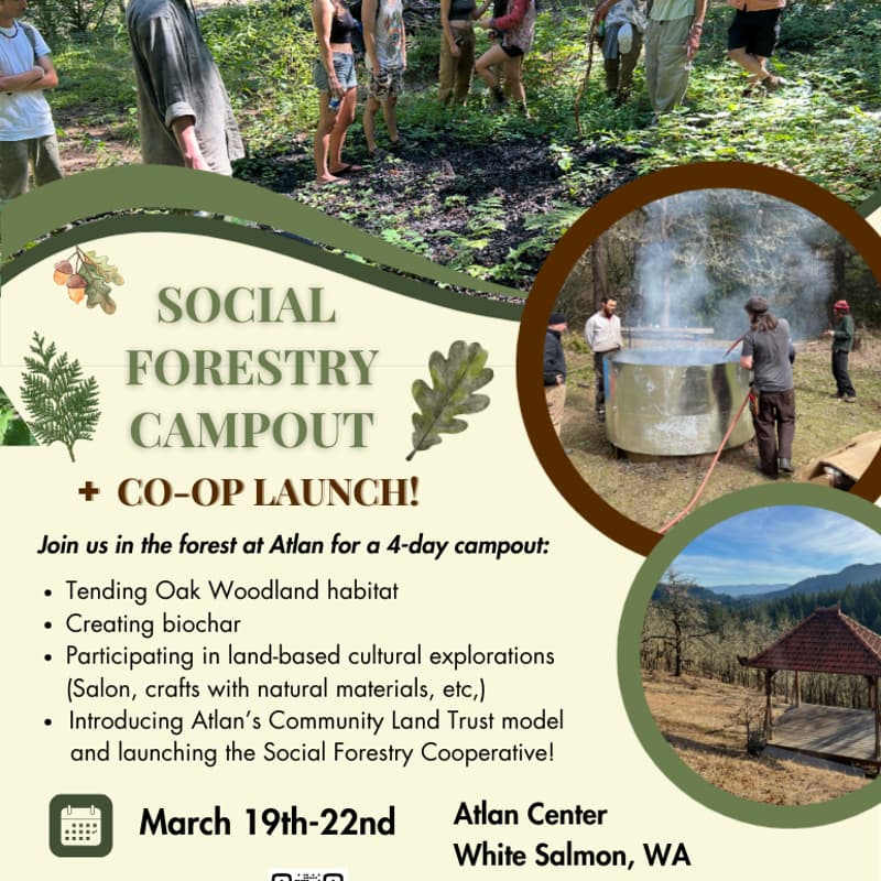 Cover Image for Atlan Social Forestry Camp & Cooperative Launch