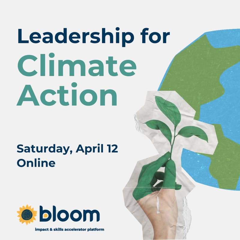 Cover Image for Transformational Leadership for Climate Impact: Bloom, the IDGs (Inner Development Goals), & the One Earth Solutions Framework Ikigai