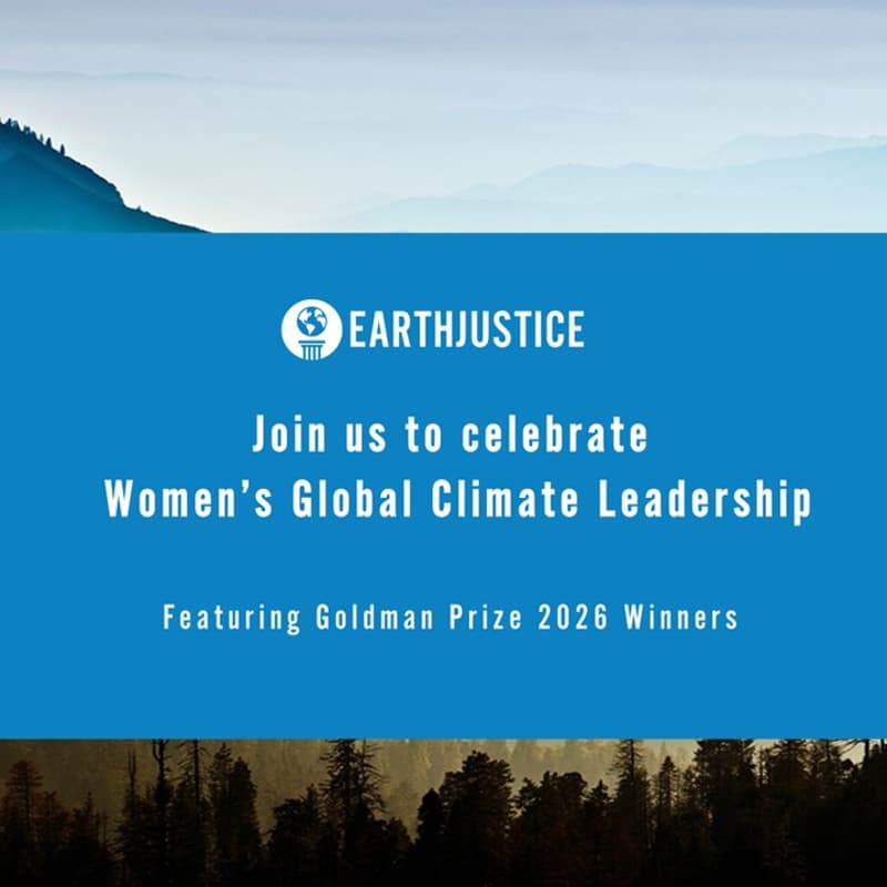 Cover Image for Earthjustice x The Goldman Prize Winners: Celebrate Women's Global Climate Leadership