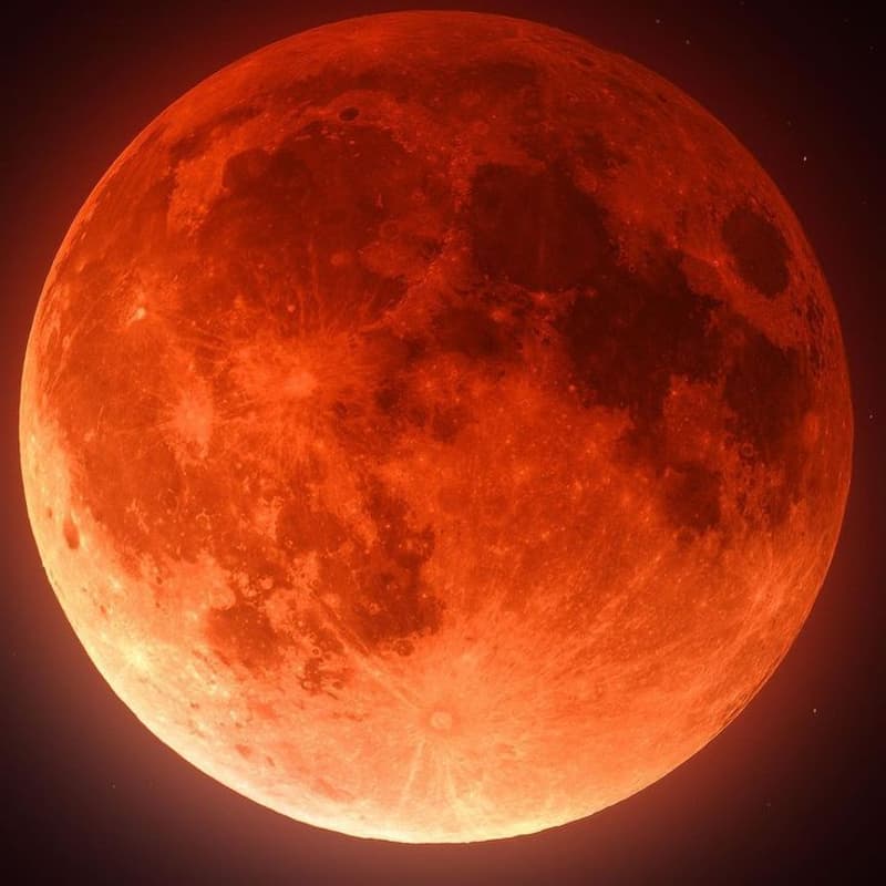 Cover Image for Eclipsed: A Lunar Eclipse Portal