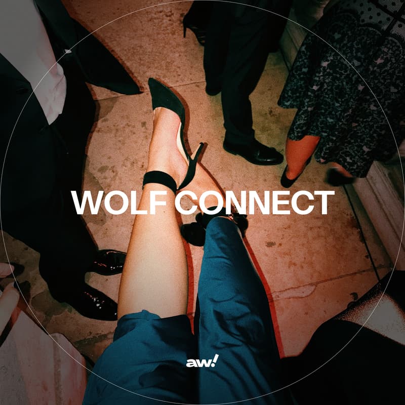 Cover Image for Wolf Connect — A Night of Culture, Connection & Creation