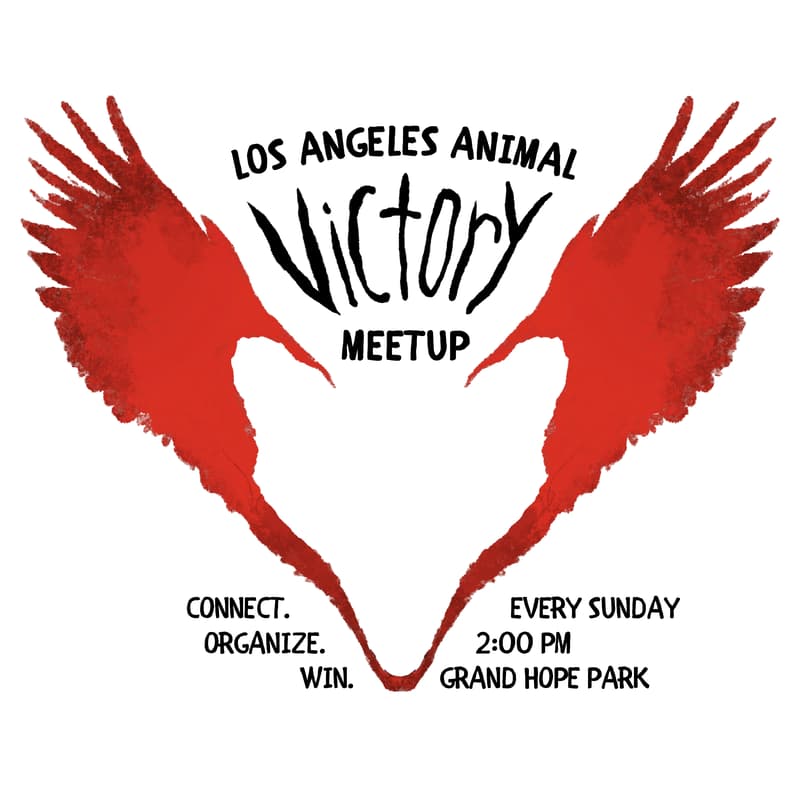 Cover Image for How to Mobilize 100 Activists - LA Animal Victory Meetup