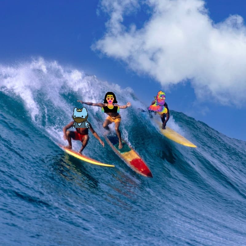 Cover Image for Degen Surf Experience