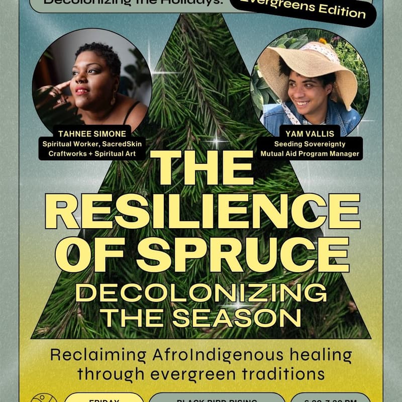 Cover Image for (IRL) The Resilience of Spruce: Decolonizing the Season
