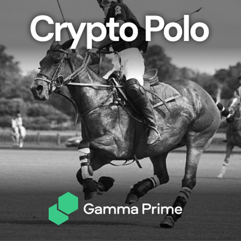 Cover Image for Crypto Polo by Gamma Prime (Day 4)