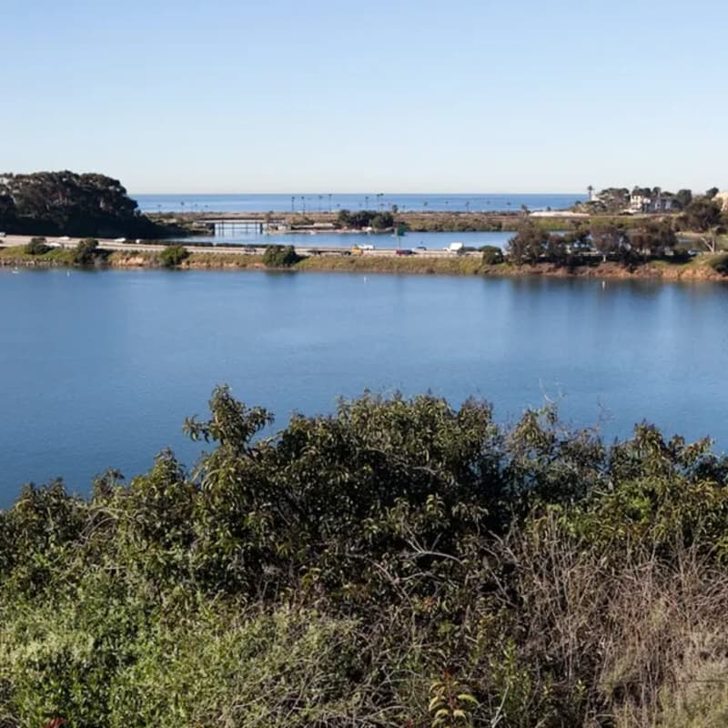 Cover Image for Burgeon Branch Outing At Agua Hedionda Lagoon
