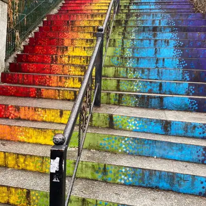 Cover Image for Tura de duminică Cotroceni