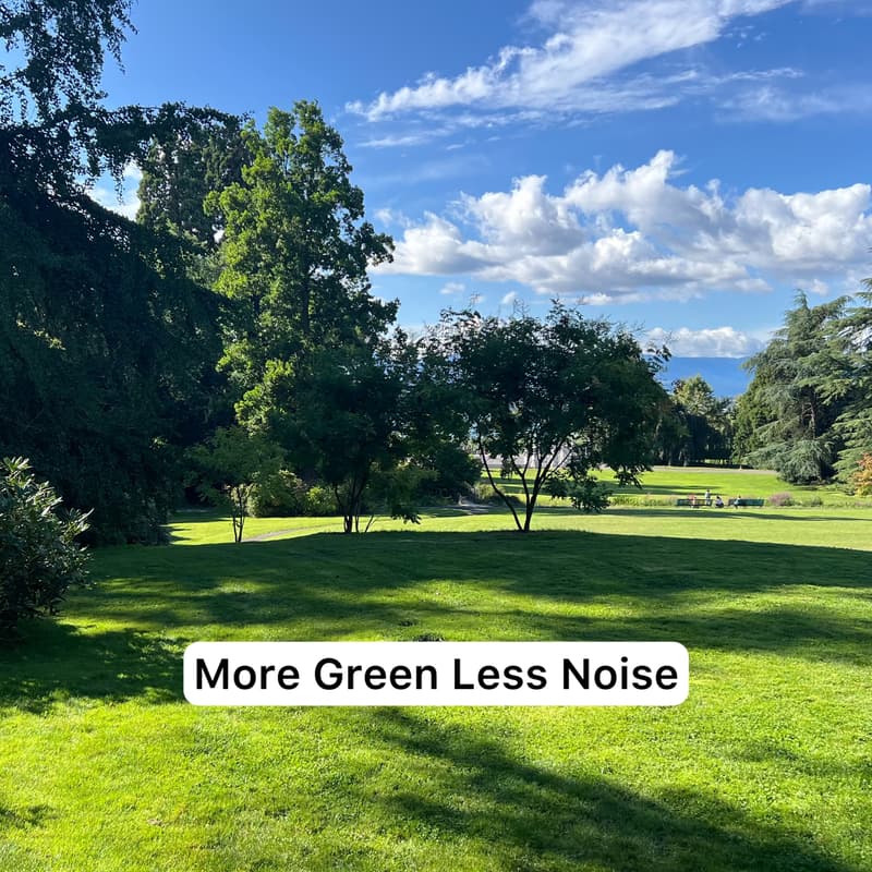 Cover Image for Finding Clarity Outside the Noise