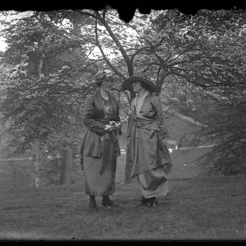 Cover Image for Finding Your Ancestors