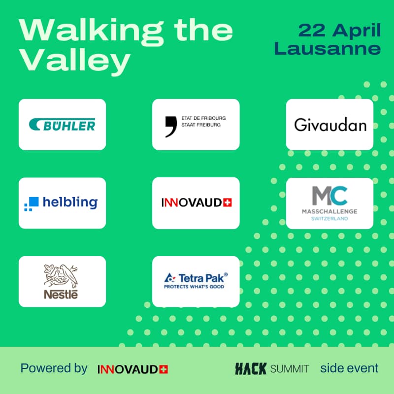 Cover Image for Walking the Valley