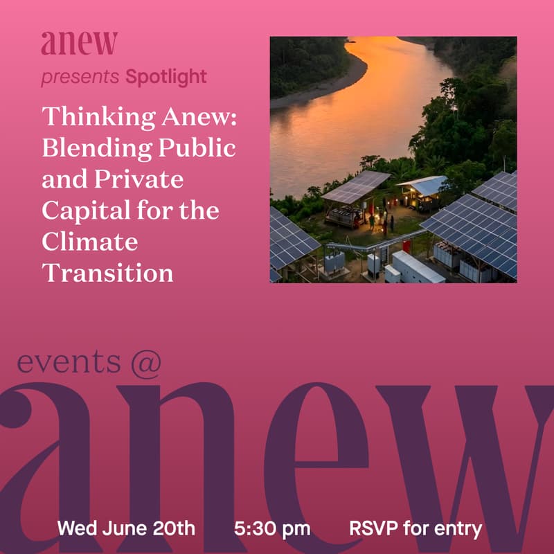 Cover Image for Thinking Anew: Blending Public and Private Capital for the Climate Transition