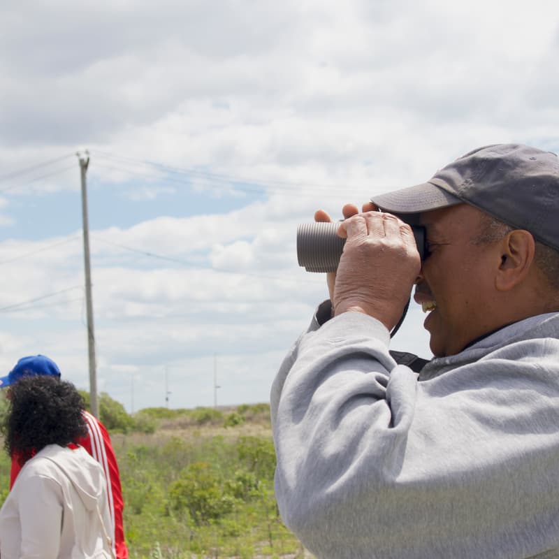 Cover Image for Birding and Storytelling with The Spark Bird Project and NYC Plover Project
