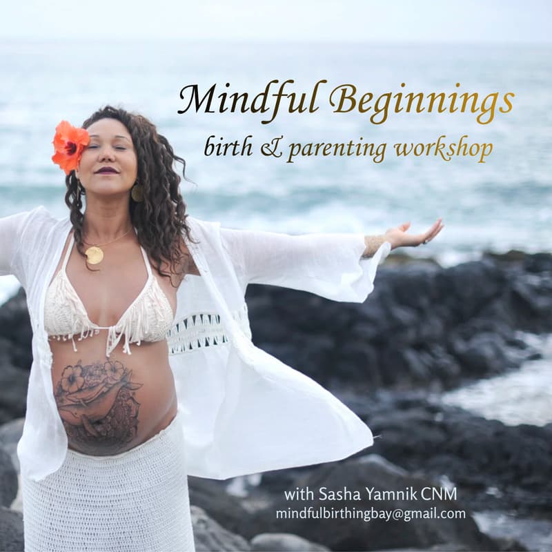 Cover Image for Mindful Birth & Parenting Workshop