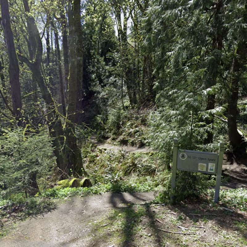 Cover Image for SE 53rd Open Space Work Party!