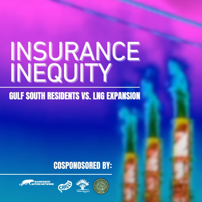 Cover Image for Insurance Inequity: Gulf South Residents vs LNG Expansion