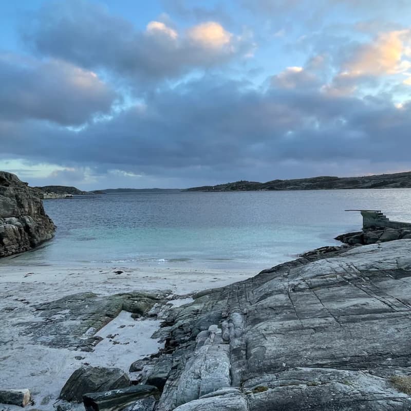 Cover Image for Life Itself Research: Complexity Science Retreat