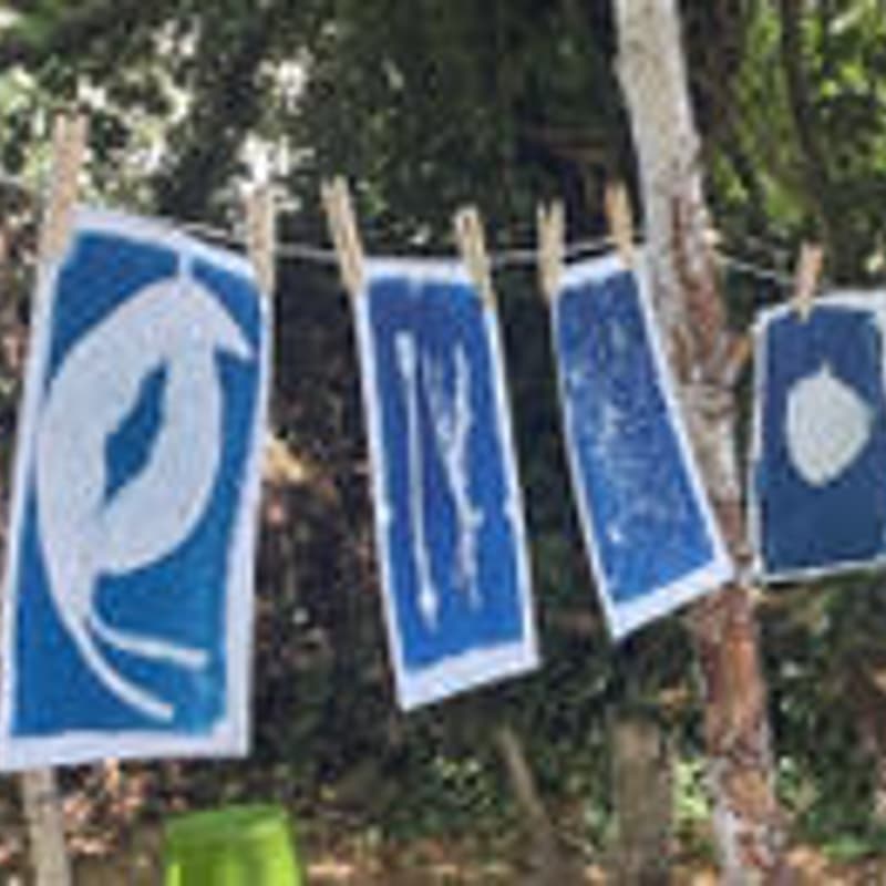 Cover Image for Cyanotype sunprint workshop