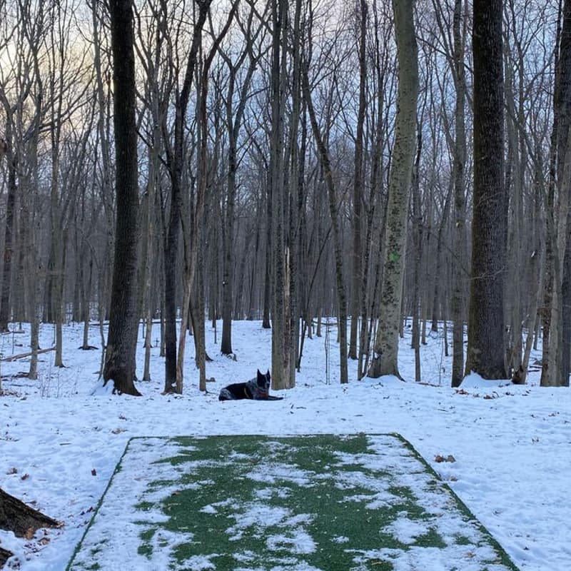 Cover Image for NYC DGA Course Field Trip: Cranbury Park DGC