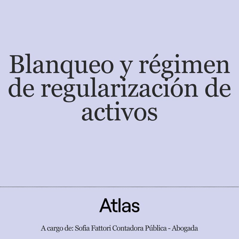 Cover Image for Blanqueo y régimen de regularización de activos