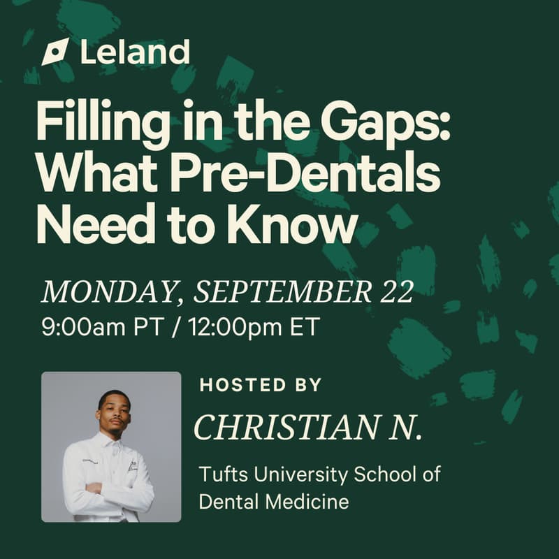 Cover Image for Filling in the Gaps: What Pre-Dentals Need to Know