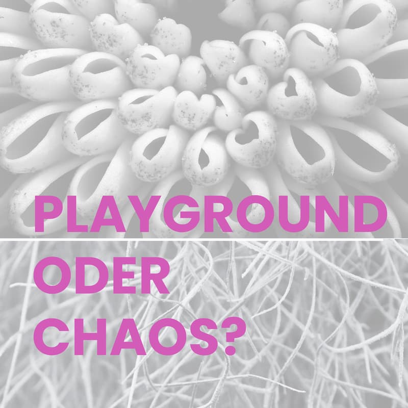 Cover Image for Playground oder Chaos?