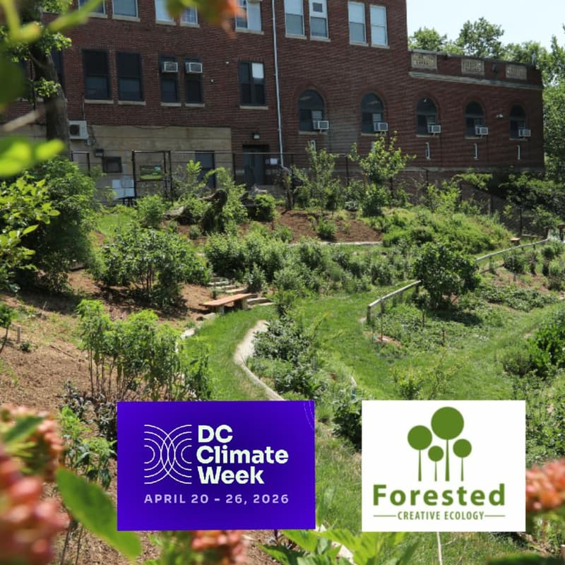 Cover Image for DC Urban Food Forest Tour