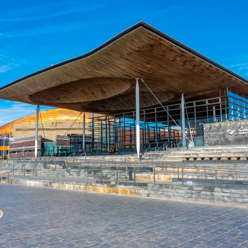 Cover Image for Voluntary sector hustings: Senedd 2026 | Hustyngau’r sector gwirfoddol: Senedd 2026