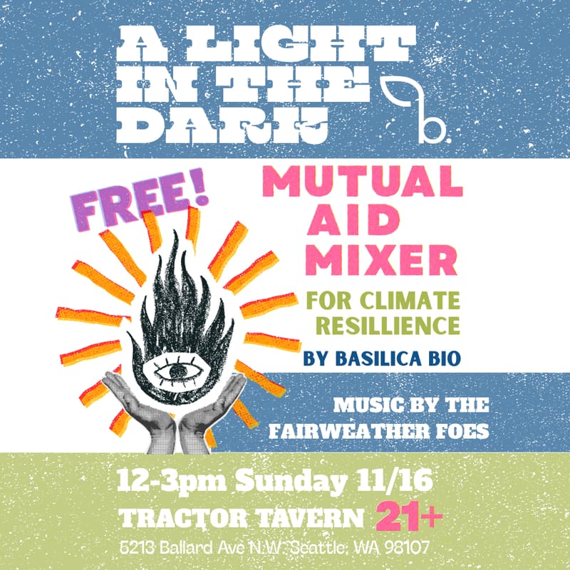 Cover Image for A Light in the Dark: A Mutual Aid Mixer for Climate Resilience