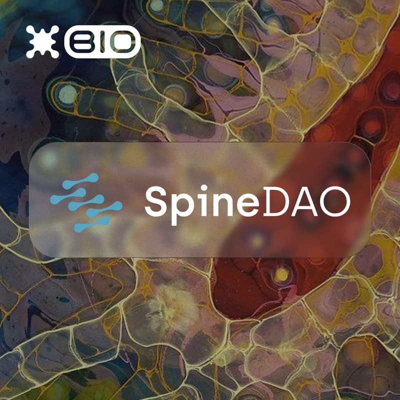 Cover Image for SpineDAO: Pioneering Decentralized Spine Care & $SPINE Auction