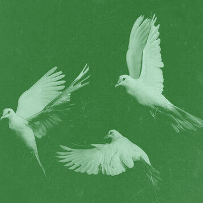 Cover Image for The Wise Agency: Accomplish Consciously, Together (In-Person, Toronto)