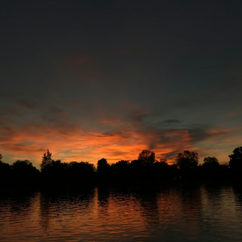 Cover Image for SHOW UP MADRID - SUNRISE SESSION