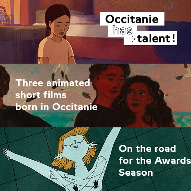 Cover Image for Animated Short Films from Occitanie