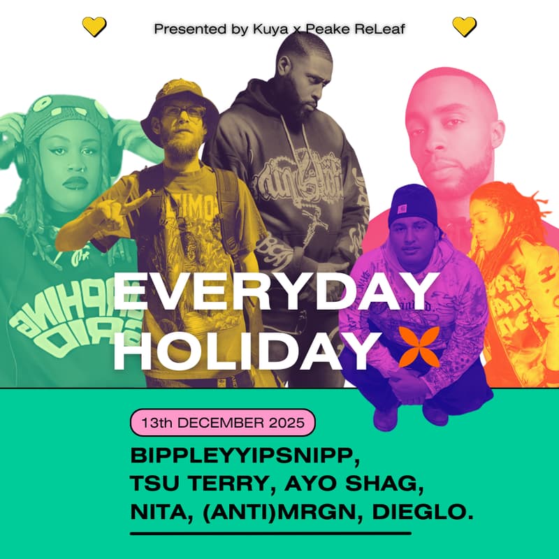 Cover Image for Everyday Holiday