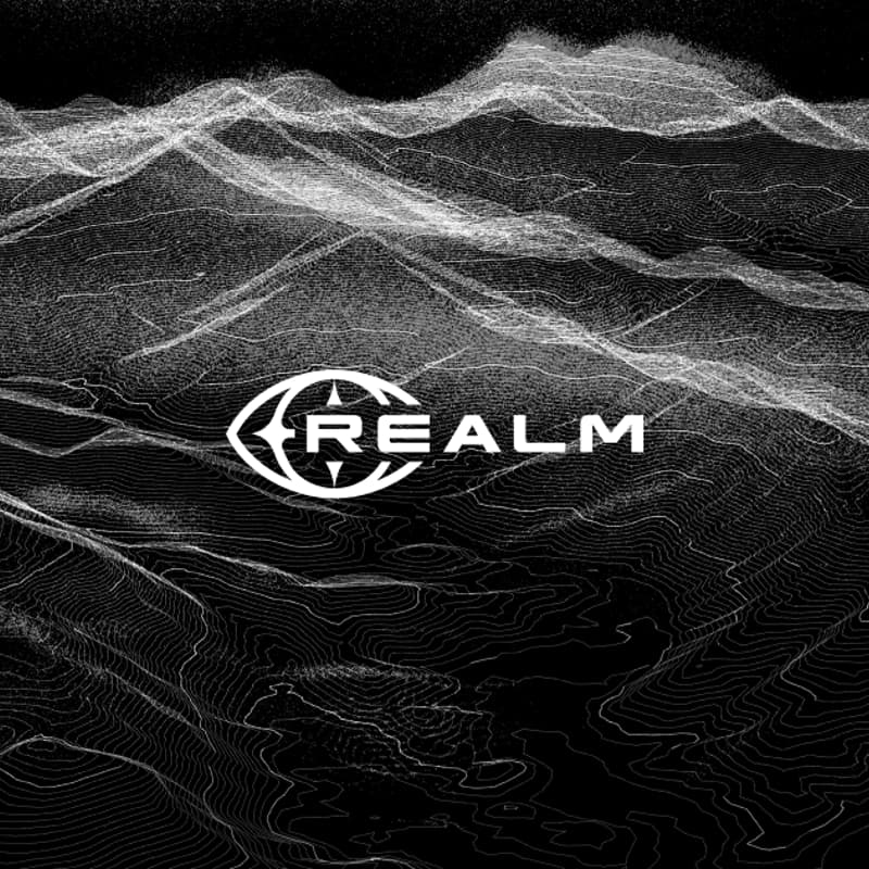 Cover Image for TVG x Realm Alliance Fireside Chat