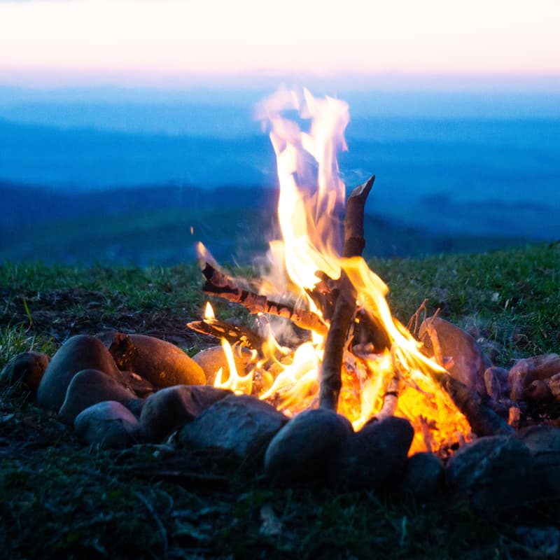 Cover Image for Beltane Somatic Breathwork Ceremony with Benjamin Tree - Online