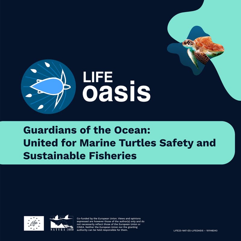 Cover Image for Guardians of the Ocean - United for Marine Turtles Safety and Sustainable Fisheries