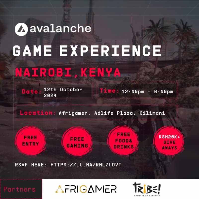 Cover Image for Avalanche gaming experience