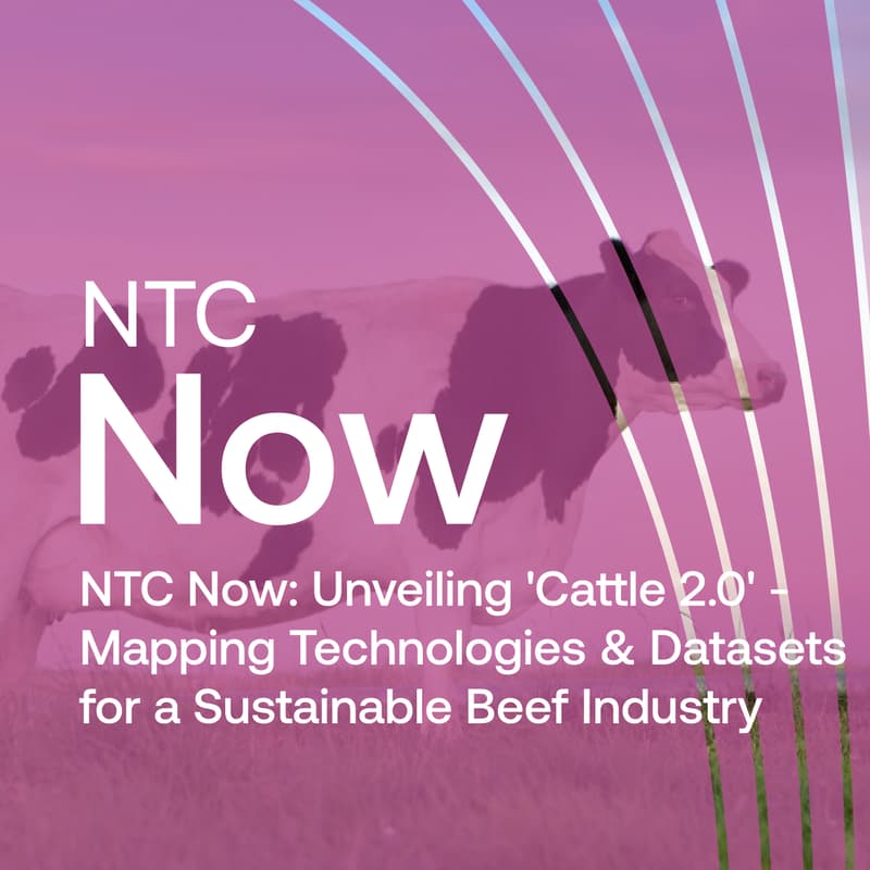 Cover Image for NTC Now: Cattle Tech- Mapping Technologies & Datasets for a Sustainable Beef Industry