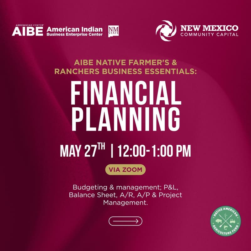 Cover Image for NAAF Workshop: Financial Planning