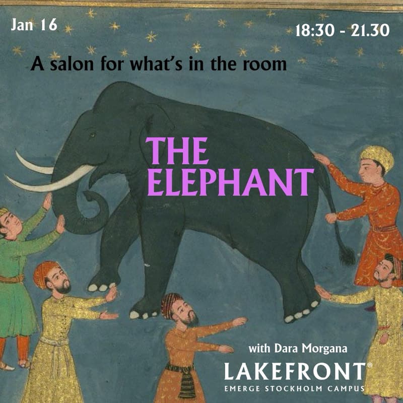 Cover Image for The Elephant - An experimental Saloon