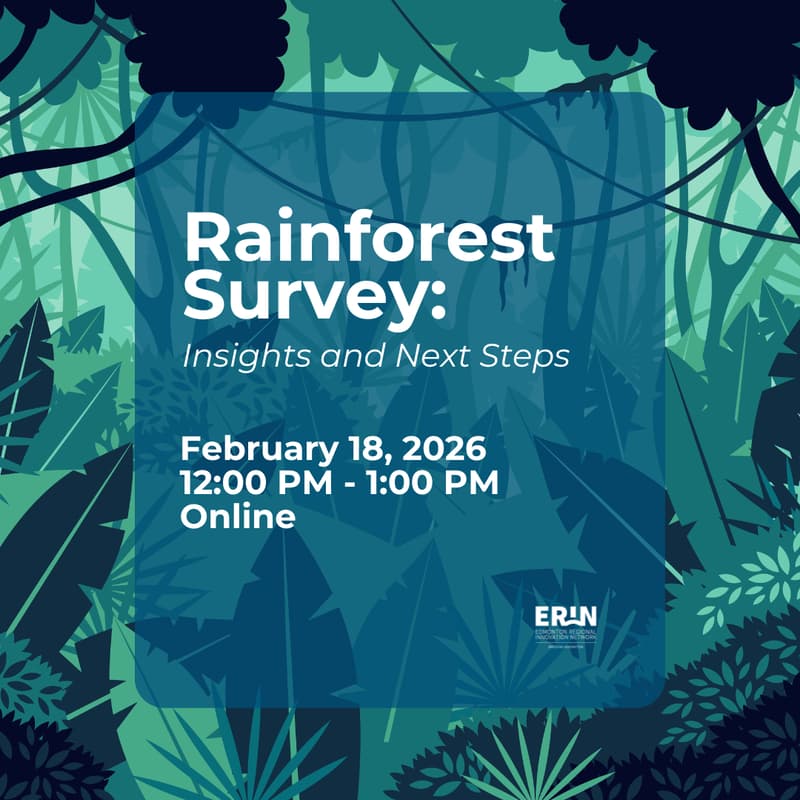 Cover Image for The Rainforest Survey: Insights & Next Steps