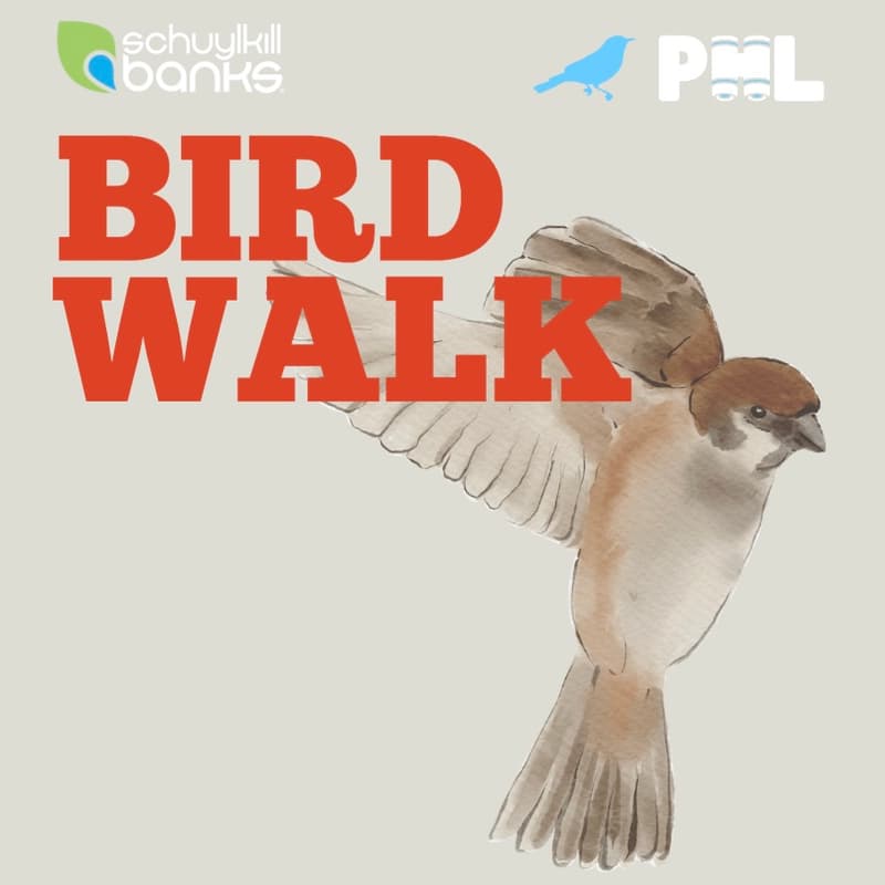 Cover Image for Spring Bird Walk on the Schuylkill River Trail