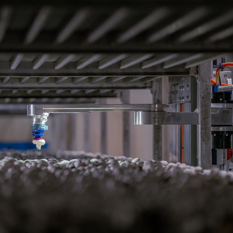 Cover Image for Mushroom Days 2026 – 4AG Robotics Registration Form