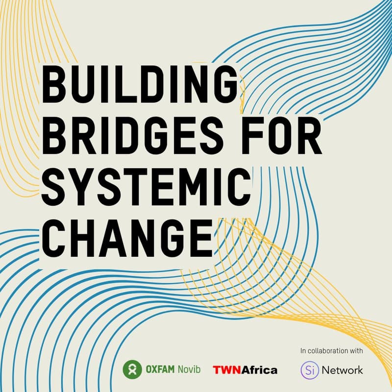 Cover Image for Building Bridges for Systemic Change