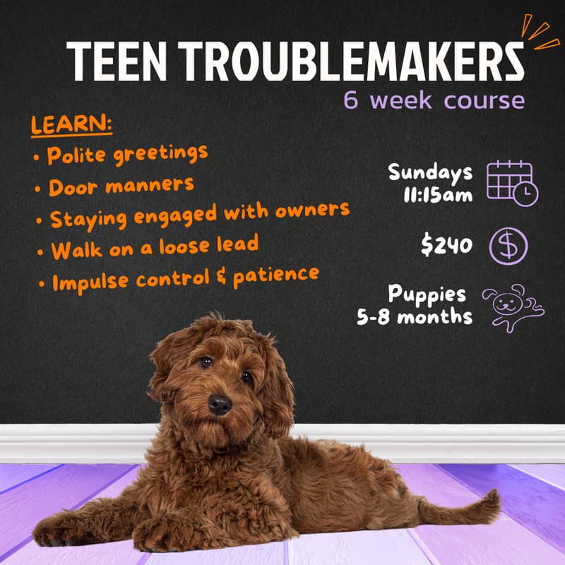 Cover Image for Teenage Troublemakers | 11:15am Sundays