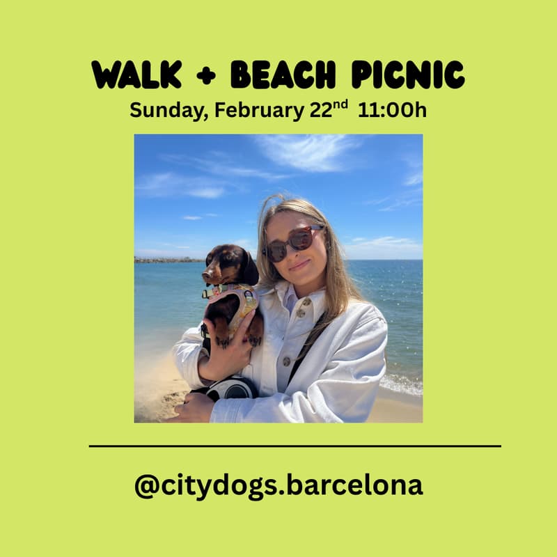 Cover Image for Walk + Beach Picnic