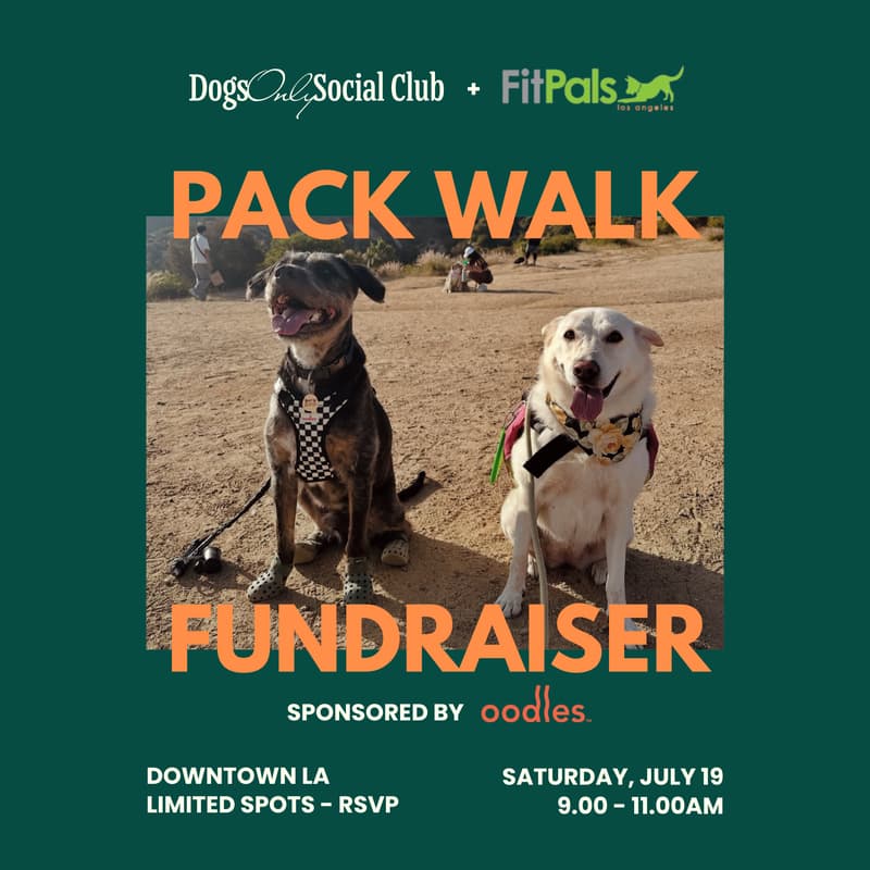 Cover Image for DTLA Dog Walking Club x Pack Walk Fundraiser