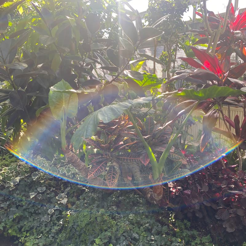 Cover Image for Medicine for the Sunday Scaries