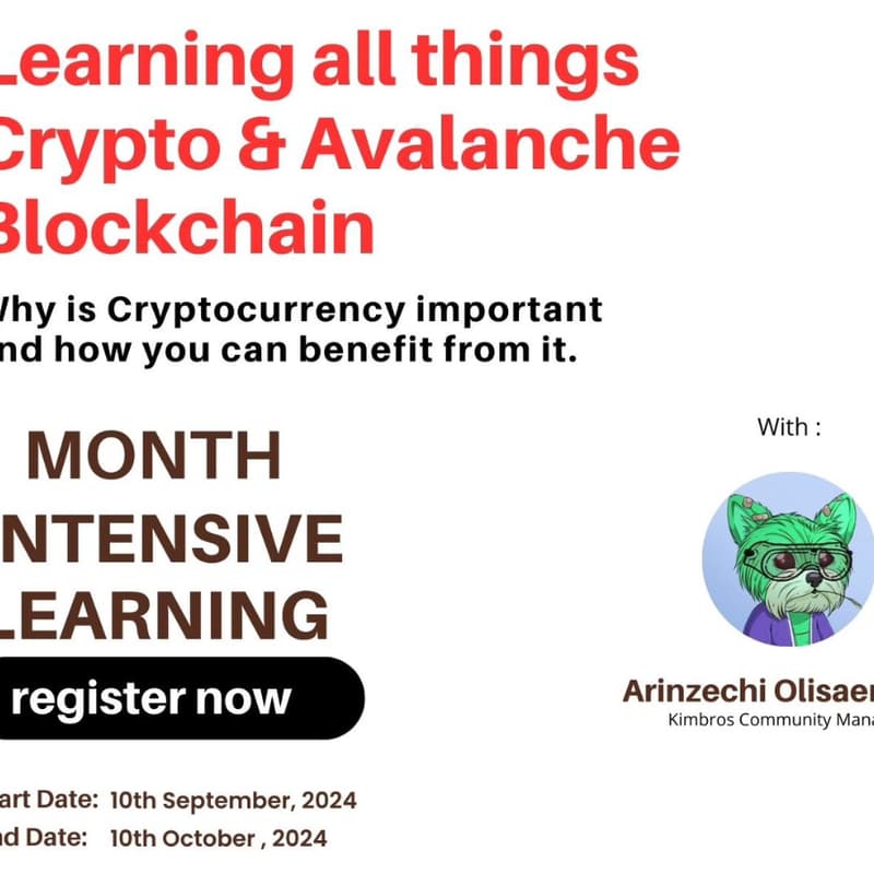 Cover Image for Avalanche Introduction Gambia