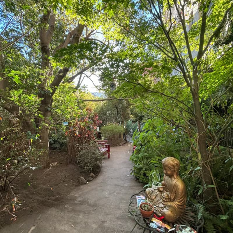 Cover Image for Tech Inspired Yoga in Award Winning SF Garden